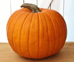 It Begins With a Perfect Pumpkin | THE CAVENDER DIARY